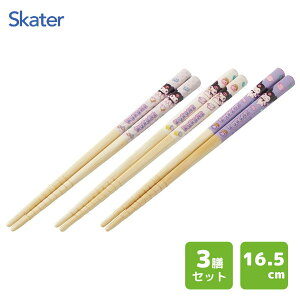 | 16.5cm 3PZbg N~ XP[^[ ANT2T /  3P ͂ ׂ~߉H Jg[ Zbg 킢  JCC IV qp qǂp ǂp LbYp j̎q ̎q L