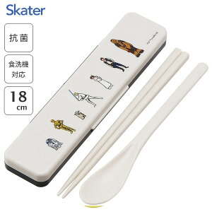 R ȂRrZbg X^[EH[Y R XP[^[ CCS3SAAG / { H@Ή Xv[  18cm P[Xt ٓp gїp ^ ` Jg[ 킢  