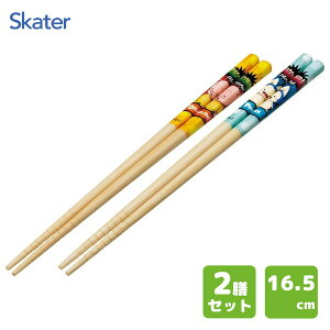 | 21cm 2PZbg hS{[ DAIMA XP[^[ ANT4W /  2P ͂ ׂ~߉H Jg[ Zbg 킢  JCC IV   lp LbY q ǂ 