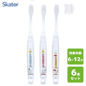 wp NAuV (3{×2Zbg) Xk[s[ XP[^[ TBCR6T / 6{Zbg 6`12˗p qp LbYp ǂp qǂp 炩 Lbvt  킢  JC