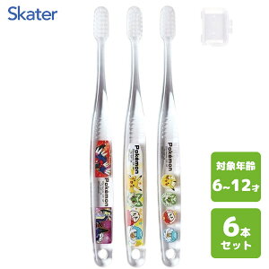 wp NAuV (3{×2Zbg) |PbgX^[ 23N XP[^[ TBCR6T / 6{Zbg 6`12˗p qp LbYp ǂp qǂp 炩 Lbvt  킢 