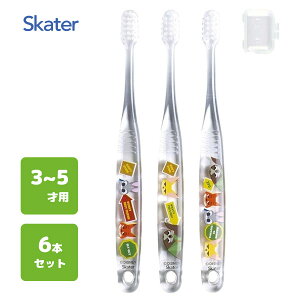 p NAuV (3{×2Zbg) Y[gsA by XP[^[ TBCR5T / 3`5˗p 6{Zbg uV p qp LbY ǂp qǂp 炩 Lbvt RpNg