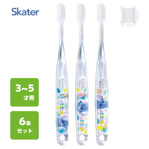 p NAuV (3{×2Zbg) XeBb` XP[^[ TBCR5T / 3`5˗p 6{Zbg uV p qp LbY ǂp qǂp 炩 Lbvt RpNgw