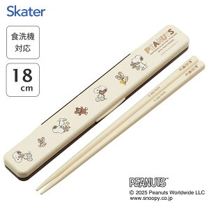 ̂ȂȂEZbg 18cm SNOOPY and BEAR XP[^[ ABC3 / { H@Ή  ͂  P[Xt ٓp gїp ^їp ` Jg[ 킢  JCC