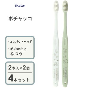 RpNgwbhuV (2{×2Zbg) |`bR CfUC XP[^[ TBN1W / 4{Zbg dӂ Ԃ炵 ͂Ԃ炵 nuV  n~KL  \h 킢  