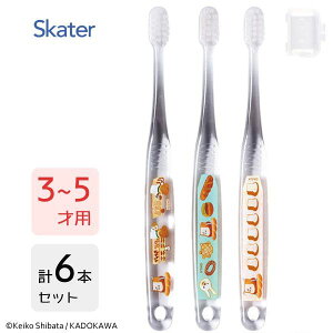 p NAuV (3{×2Zbg) pǂڂ XP[^[ TBCR5T / 3`5˗p 6{Zbg uV p qp LbY ǂp qǂp 炩 Lbvt RpNgwbh 