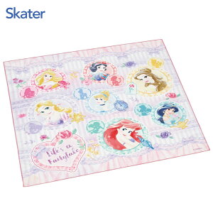 `NX (43×43cm) vZX26 XP[^[ KB4SN / { `ObY ٓ C~ NX `}bg nJ` LbYp qp 킢  LN^[ fBYj