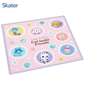 `NX (43×43cm) Mr[̃h[nEX26 XP[^[ KB4SN / { `ObY ٓ C~ NX `}bg nJ` LbYp qp 킢  JCC 