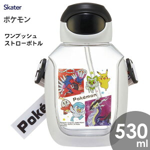vbVXg[{g 530ml |PbgX^[23N XP[^[ PDSH6DX /  {g vX`bN LbYp qp ǂp qǂp  NA Xg[t ⋋ 킢 
