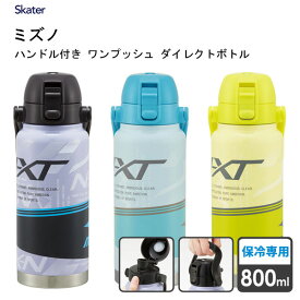 ハンドル付き ワンプッシュダイレクトボトル 800ml ミズノ スケーター STD8H / 保冷専用 水筒 ボトル ステンレス製 キャップロック 広口 持ち手付き 直飲み マグ 大人 大容量 便利 レーザーカラー グレー ブルー イエロー 灰 青 黄色 mizuno かっこいい ロゴ /