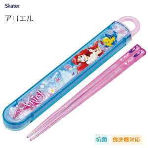 R XChZbg 16.5cm g}[Ch AG24 XP[^[ ABS2AMAG / {  P[Xt H@Ή qǂp LbY qp  ct LN^[   