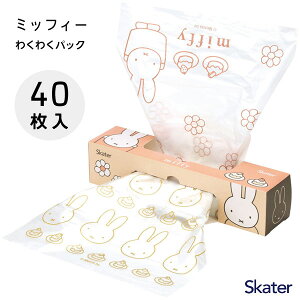 킭킭pbN (40) ~btB[ XP[^[ WAP2 /  rj[ rj | Cxg o^C ֗ v[g  َq 킢    L