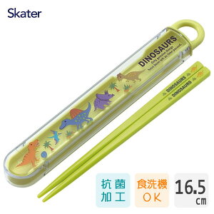 R XChZbg 16.5cm fBmTEX XP[^[ ABS2AMAG / {  P[Xt H@Ή qǂp ǂp LbYp qp  ct 킢    L