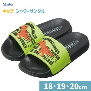 V[T_ fBmTEX (18cm/19cm/20cm) XP[^[ /  C r[` v[ C qp qǂp LbYp ǂp  5 6 7 8 킢    j̎q 