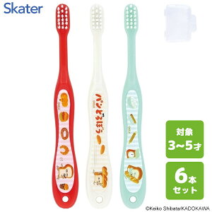 p uV (3{×2Zbg) pǂڂ XP[^[ TB5ST / 6{Zbg 3`5˗p uV nuV p qp LbYp ǂp qǂp c 炩 Lbvt 킢