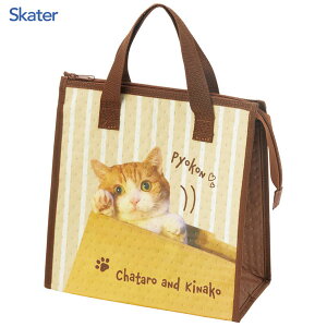 sDzۗobO YƂȂ ZZ XP[^[ FBC1 / ۗobO `obO N[[obO TuobO }`t 傫 ٓ  ֗ 킢   