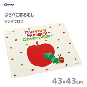 `NX (43×43cm) ͂؂ނ XP[^[ KB4 / { `ObY ٓ `}bg LbY qǂp qp 킢 LN^[ zCg /