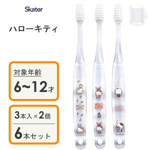 wp NAuV (3{×2Zbg) n[LeB XP[^[ TBCR6T / 6{Zbg 6`12˗p qp LbYp ǂp qǂp 炩 Lbvt  LN^[ 킢 