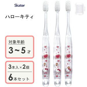 p NAuV (3{×2Zbg) n[LeB XP[^[ TBCR5T / 3`5˗p uV p qp LbY ǂp qǂp 炩 Lbvt RpNgwbh  