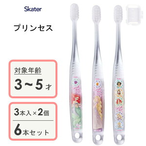 p NAuV (3{×2Zbg) fBYj[vZX23 XP[^[ TBCR5T / 3`5˗p uV p qp LbY ǂp qǂp 炩 Lbvt RpNgwbh 