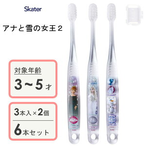 p NAuV (3{×2Zbg) AiƐ̏2 XP[^[ TBCR5T / 3`5˗p uV p qp LbY ǂp qǂp 炩 Lbvt RpNgwbh  