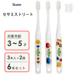 p NAuV (3{×2Zbg) ZT~Xg[g XP[^[ TBCR5T / 3`5˗p uV p qp LbY ǂp qǂp 炩 Lbvt RpNgwbh  