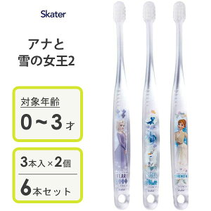 p NAuV (3{×2Zbg) AiƐ̏23 XP[^[ TBCR4T / 0`3˗p ͂ dグ݂ qp LbYp ǂp qǂp 炩 RpNgwbh  