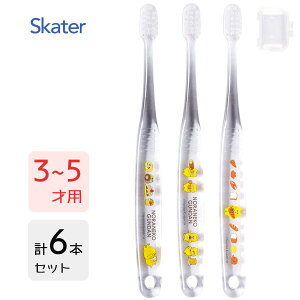 p NAuV (3{×2Zbg) mlR񂾂 XP[^[ TBCR5T / 3`5˗p 6{Zbg uV p qp LbY ǂp qǂp 炩 Lbvt RpNgw