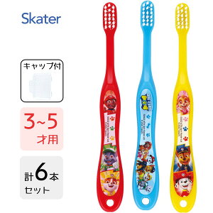 p uV (3{×2Zbg) pEpg[23 XP[^[ TB5ST / 6{Zbg 3`5˗p uV nuV p qp LbYp ǂp qǂp c 炩 Lbvt 