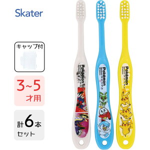 p uV (3{×2Zbg) |PbgX^[23N XP[^[ TB5ST / 6{Zbg 3`5˗p uV nuV p qp LbYp ǂp qǂp c 炩 Lbvt 