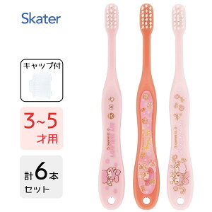 p uV (3{×2Zbg) }CfB XP[^[ TB5ST / 6{Zbg 3`5˗p uV nuV p qp LbYp ǂp qǂp c 炩 Lbvt 킢