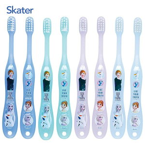 p uV8{Zbg AiƐ̏2 XP[^[ TB5SE / 3`5 Lbvt nuV 炩 qp qǂp LbYp ܂Ƃߔ LN^[ 킢  JCC IV