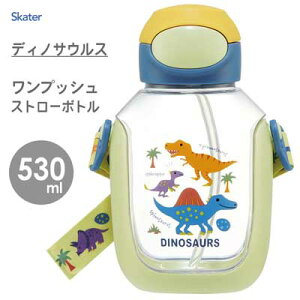 vbVXg[{g 530ml fBmTEX XP[^[ PDSH6DX /  {g vX`bN LbYp qp ǂp qǂp  NA Xg[t ⋋ 킢  