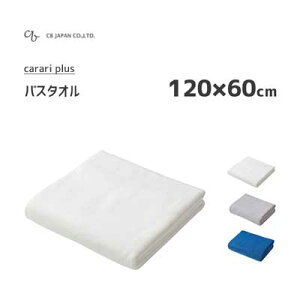 oX^I CBWp JvX / 120×60cm }CNt@Co[ ^I z  zCg u[ O[ Vv  n Mtg v[g V[r[Wp carari plus/