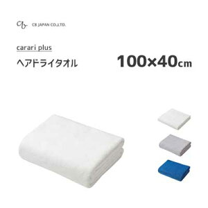 wAhC^I CBWp JvX / 100×40cm }CNt@Co[ ^I z  zCg u[ O[ Vv  n Mtg v[g V[r[Wp carari plus/
