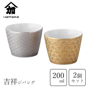 yAZbg 220ml RX g˃WpO YMK170-22 / { 2 傱  t {    AR[   S[h Vo[ ̗t Cg N g˖ a