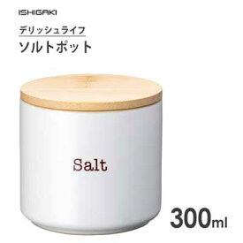 ソルトポット 300ml デリッシュライフ イシガキ産業 4350 / 塩入れ 調味料 お茶っ葉 キャニスター 保存 容器 素焼き ポット 陶器 便利 おしゃれ お洒落 /