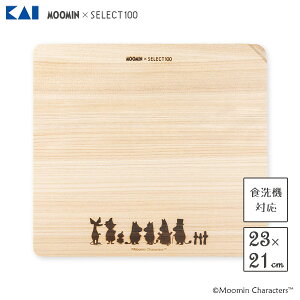 JbeBO{[h 230×210mm L SELECT100×[~ AP5124 / { H@Ή Ђ̂ qmL O w ؐ ܂Ȕ ^ y RpNg ֗ LN^[ 킢  JCC IV
