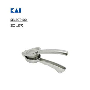 ~jڂ L SELECT100 DH3011 / A~ i ~jTCY Vo[ ֗ t /