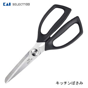 Lb`΂ L SELECT100 DH3005 / H@Ή   nT~ ΂ ͂   ubN ֗  Zp[g  ubN ZNg100 /