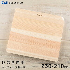 JbeBO{[h 230×210mm L SELECT100 AP5125 / { H@Ή ^ y RpNgTCY ؐ Ђ̂ w ܂Ȕ ֗ /