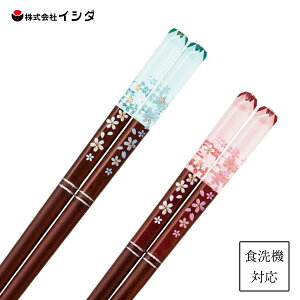  肠 F CV_ / { H@Ή VR ؐ  1V 23.5cm 21cm E܂݂₷ ₷  킢   JCC IV Vv u[ sN 畿 