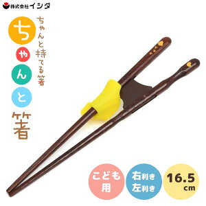 Ɣ 16.5cm ǂp CV_ / { 4`6  Ep p  mÔ   g[jO T|[g  K  qǂp ǂp qp LbYp