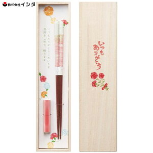  21cm yA~g (sN) ˔ ut CV_ 63167 / { H@Ή  V VR ؐ  킢 ̓ hV̓ ꂳ ΂ 肪Ƃ bZ[W