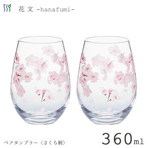 yA^u[ 360ml (畿) ԕ mX؃KX G099-T302 / { H@Ή 2 yA OX KX Rbv ^u[  킢    ԕ NA  