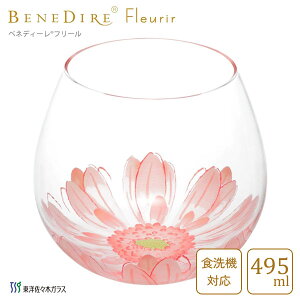 OX 495ml (sN) xlfB[ t[ mX؃KX B-SW91-J393 / { H@Ή OX ^u[ Rbv Jbv ԕ t[ K[x 킢  