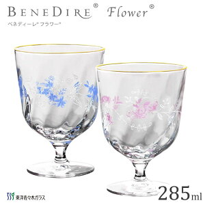 yAt[OX 285ml xlfB[ t[ mX؃KX G098-S107 / { 2 yA OX Rbv Jbv u[X^[ o ԕ 킢  LC JCC IV 