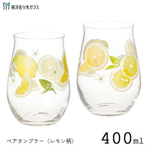 yA^u[ 400ml () mX؃KX t[c G104-T310 / { H@Ή 2 yA OX KX Rbv ^u[  킢   ƒp Mtg Zbg 