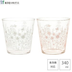 yA^u[ 340ml K[f^C mX؃KX G106-T333 / H@Ή 2 yA OX KX Rbv ^u[ ԕ  t[ t  킢   JCC 