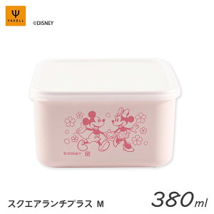 XNGA`vX (M) 380ml 畿 (~bL[~j[) NZ 12429 / { ٓ `{bNX  ʕ fU[g t[c P[X p^ 킢  Vv LN